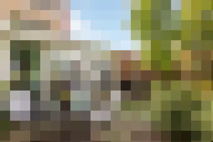 van Heemskerkstraat 25 Borne thumbnail 23