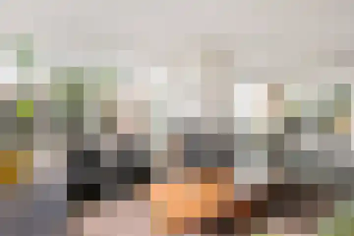 van Heemskerkstraat 25 Borne thumbnail 4