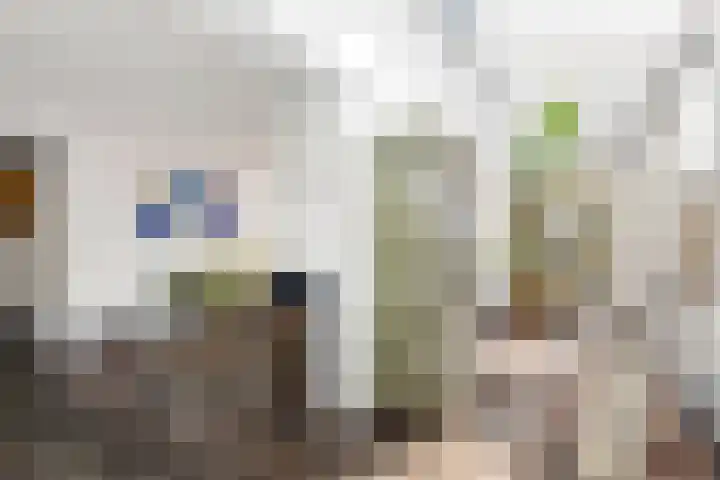 van Heemskerkstraat 25 Borne thumbnail 7