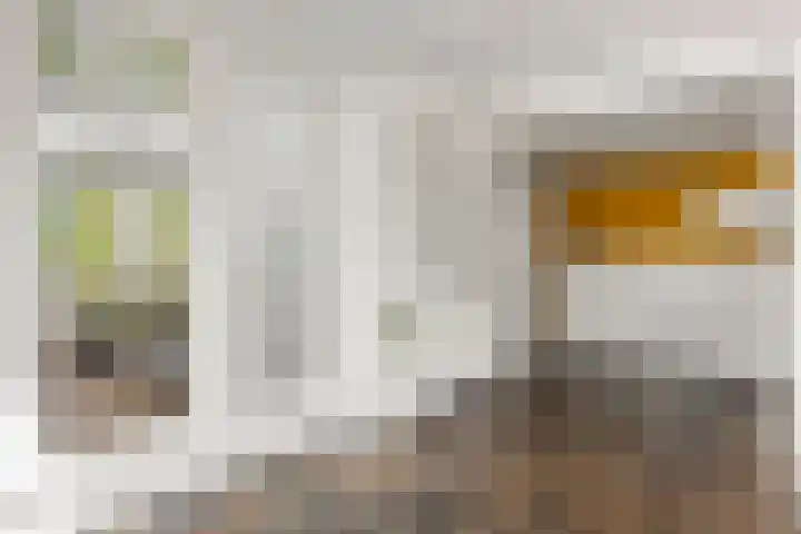 van Heemskerkstraat 25 Borne thumbnail 8