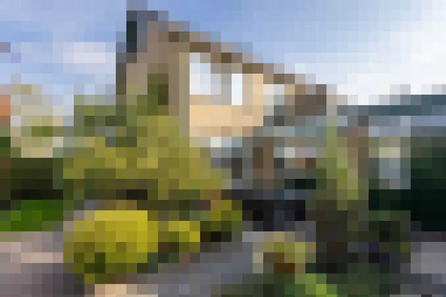 van Heemskerkstraat 35 Haaksbergen thumbnail 39