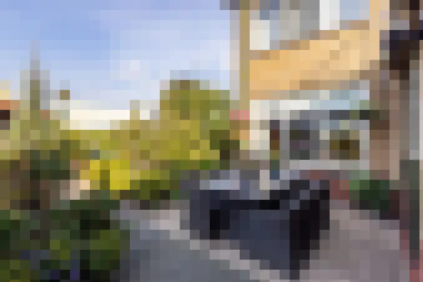 van Heemskerkstraat 35 Haaksbergen thumbnail 43