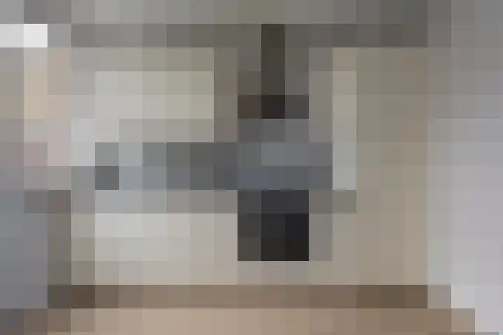 van Heemskerkstraat 5 Veghel thumbnail 10