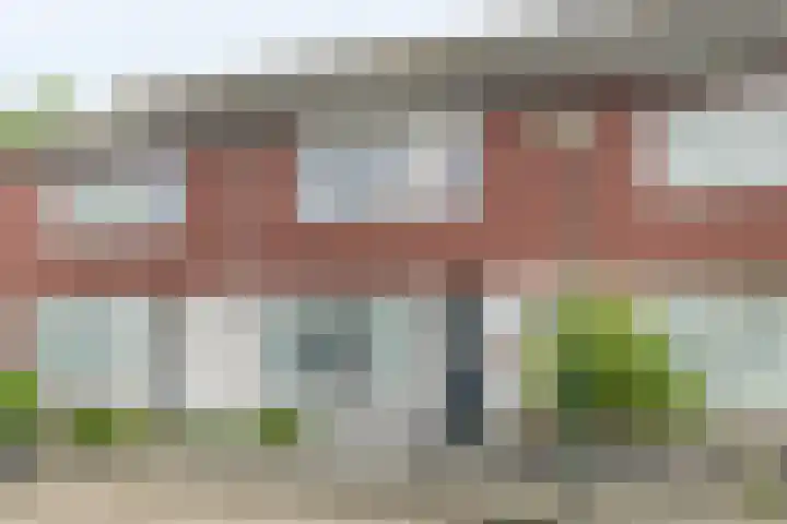 van Heemskerkstraat 5 Veghel thumbnail 29