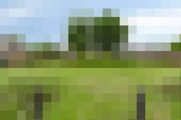 van Heemskerkstraat 5 Veghel thumbnail 5