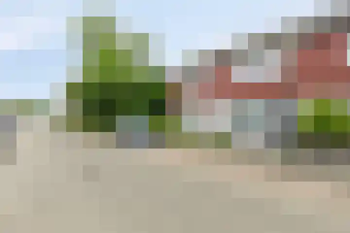 van Heemskerkstraat 5 Veghel thumbnail 6