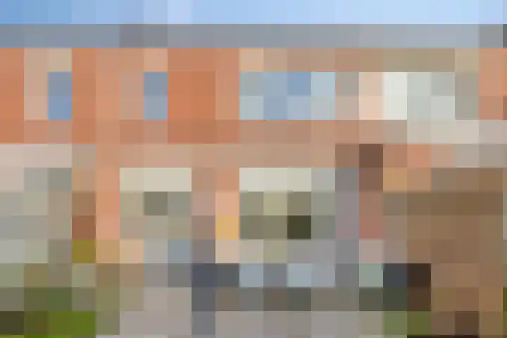 van Heemskerkstraat 51 Veghel thumbnail 29