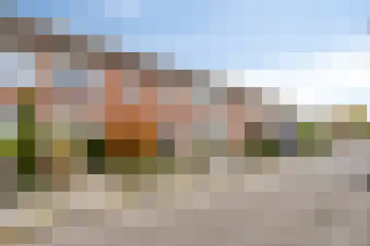 van Heemskerkstraat 51 Veghel thumbnail 31