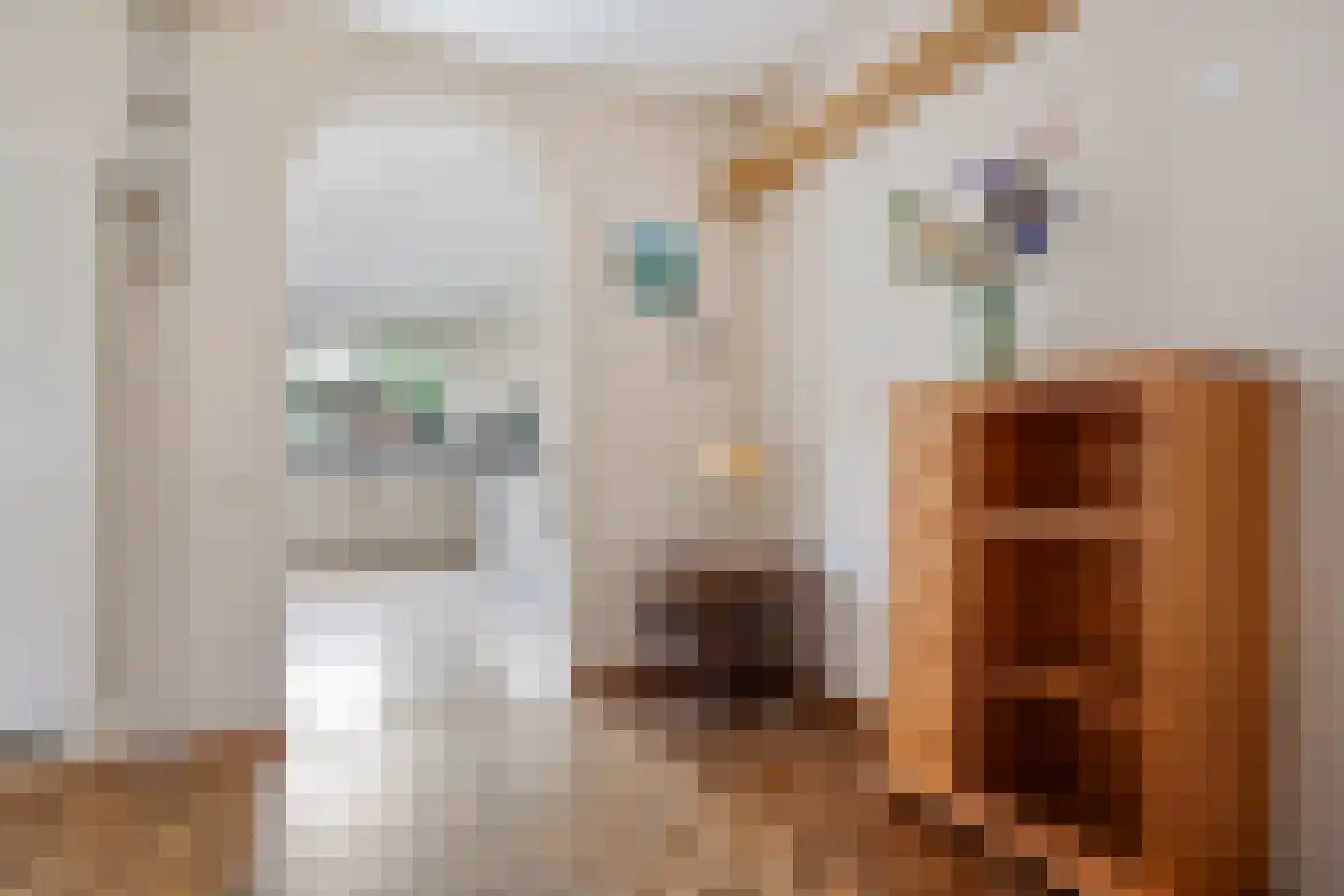 van Heemskerkstraat 57 Borne thumbnail 16