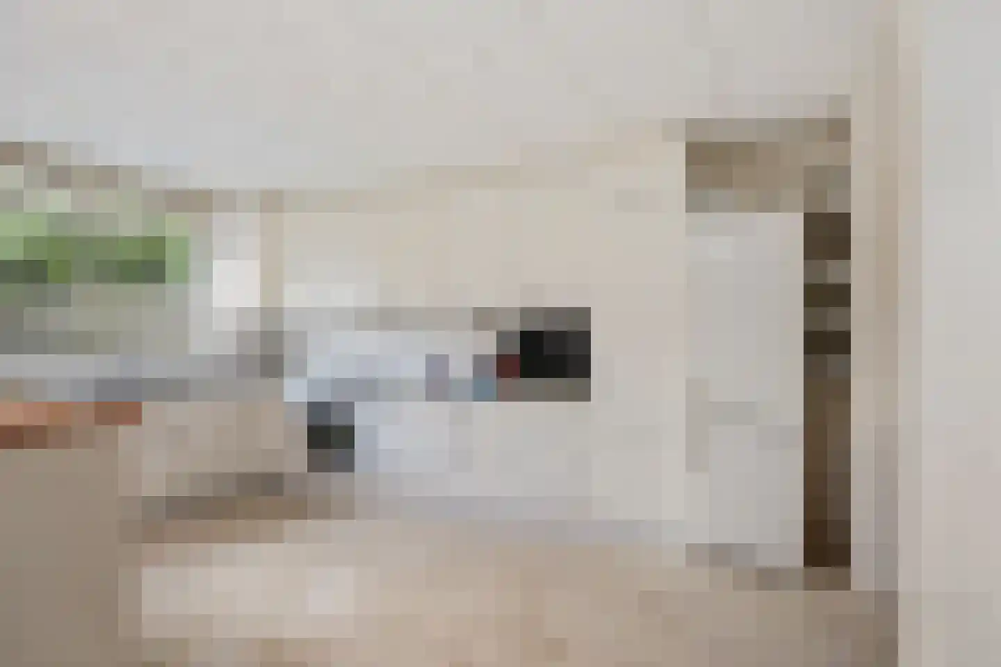 van Heemskerkstraat 57 Borne thumbnail 18