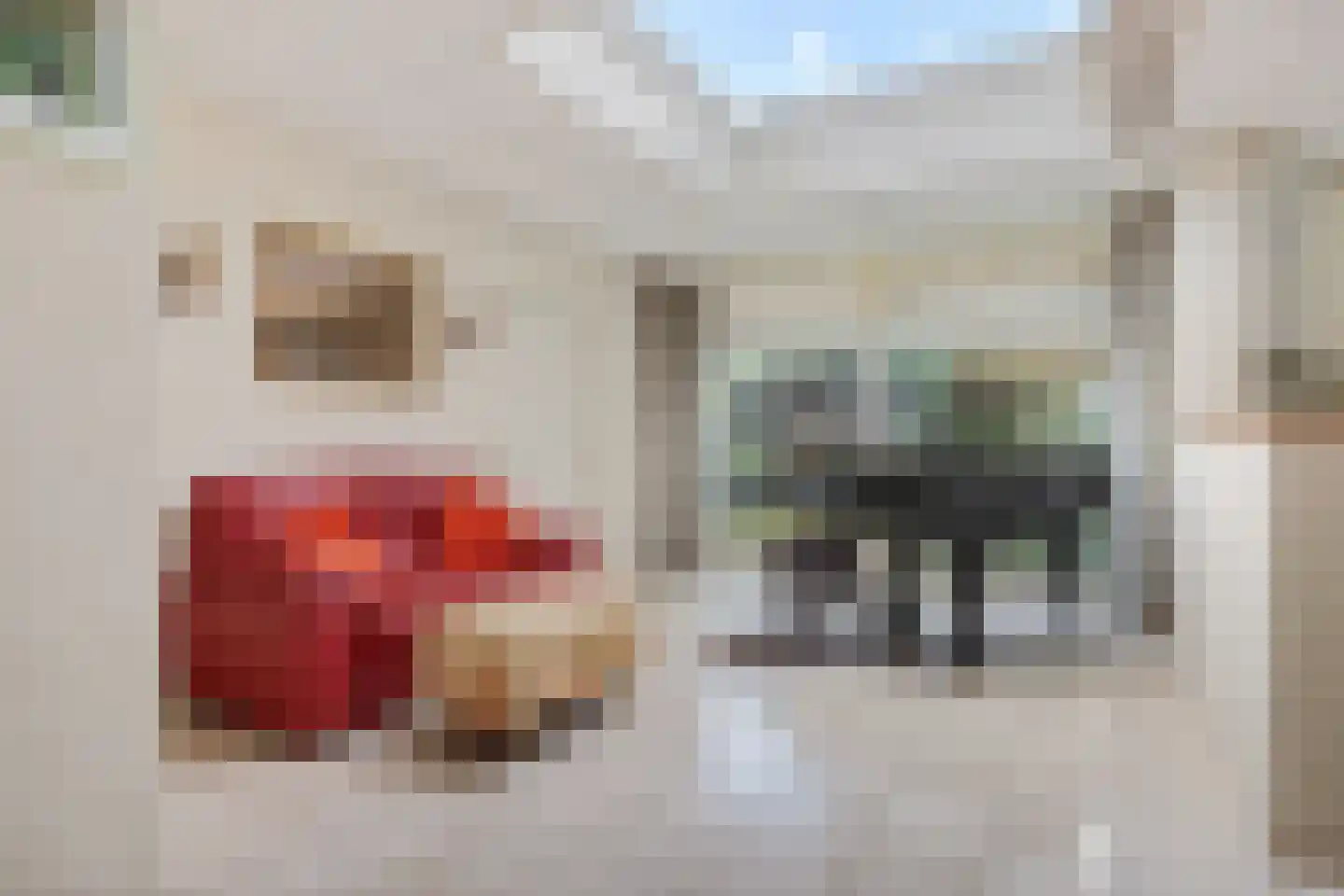 van Heemskerkstraat 57 Borne thumbnail 20