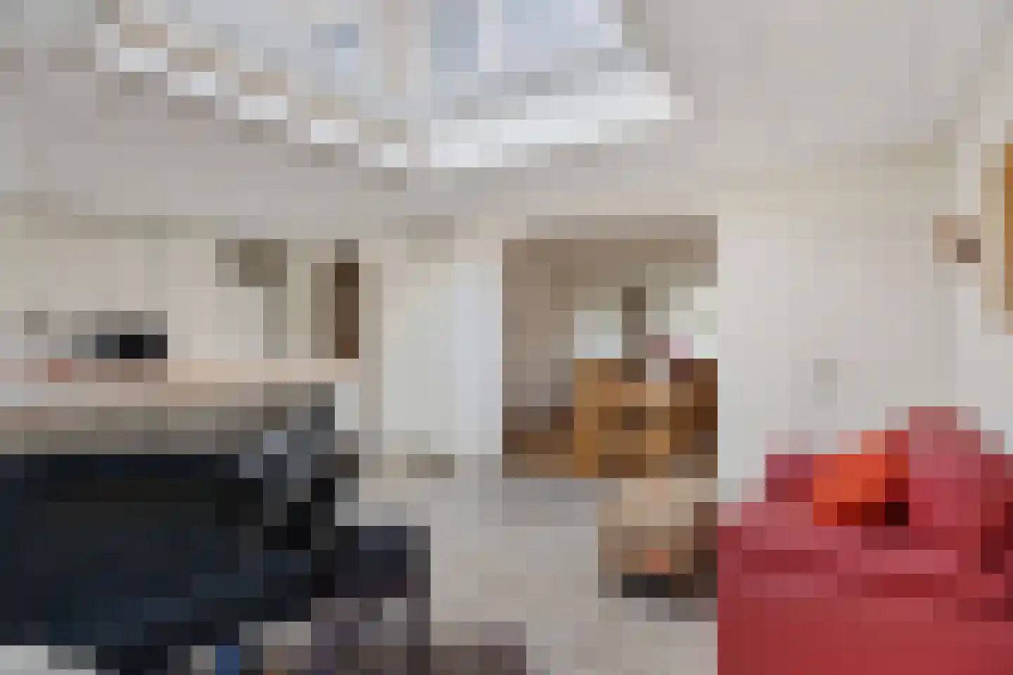 van Heemskerkstraat 57 Borne thumbnail 21