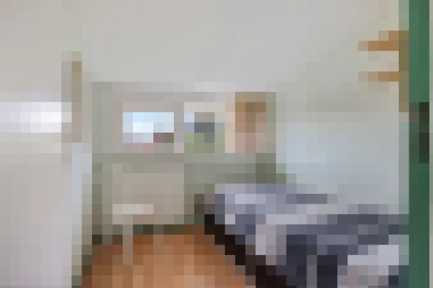 van Heemskerkstraat 57 Borne thumbnail 33