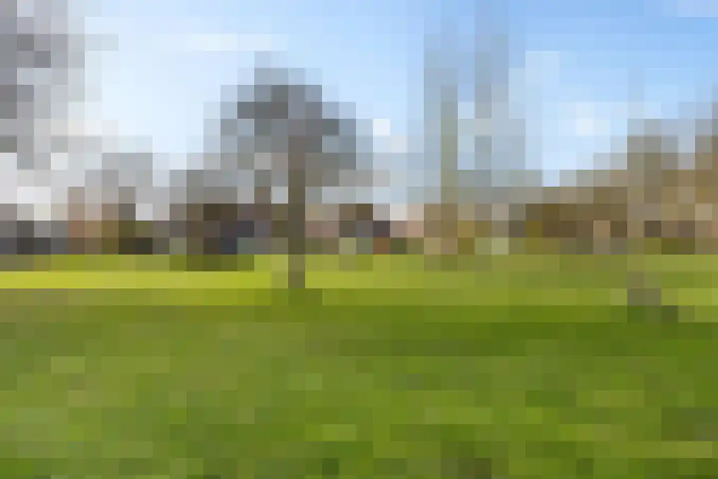 van Heemskerkstraat 57 Borne thumbnail 47
