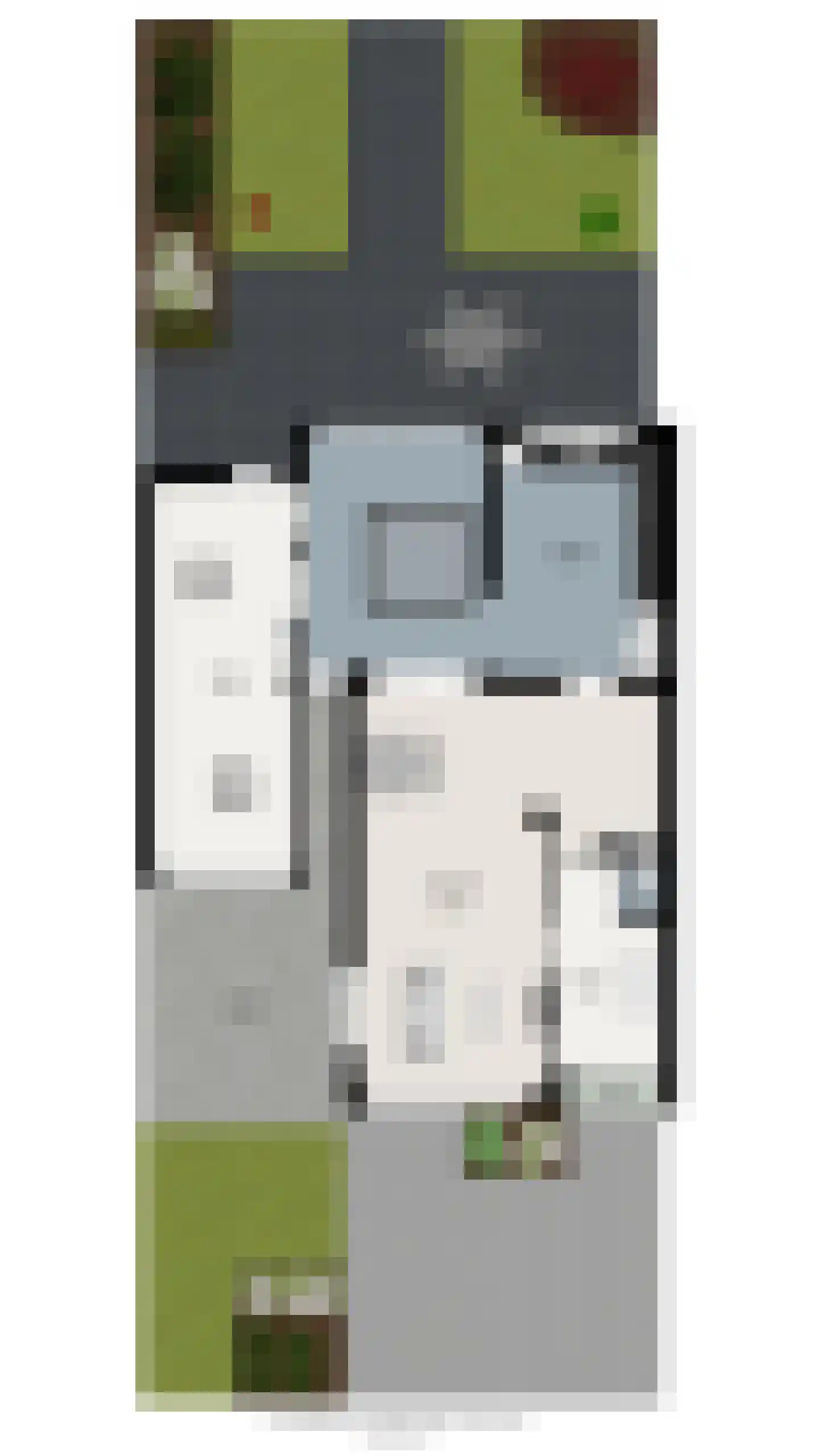 van Heemskerkstraat 57 Borne thumbnail 52