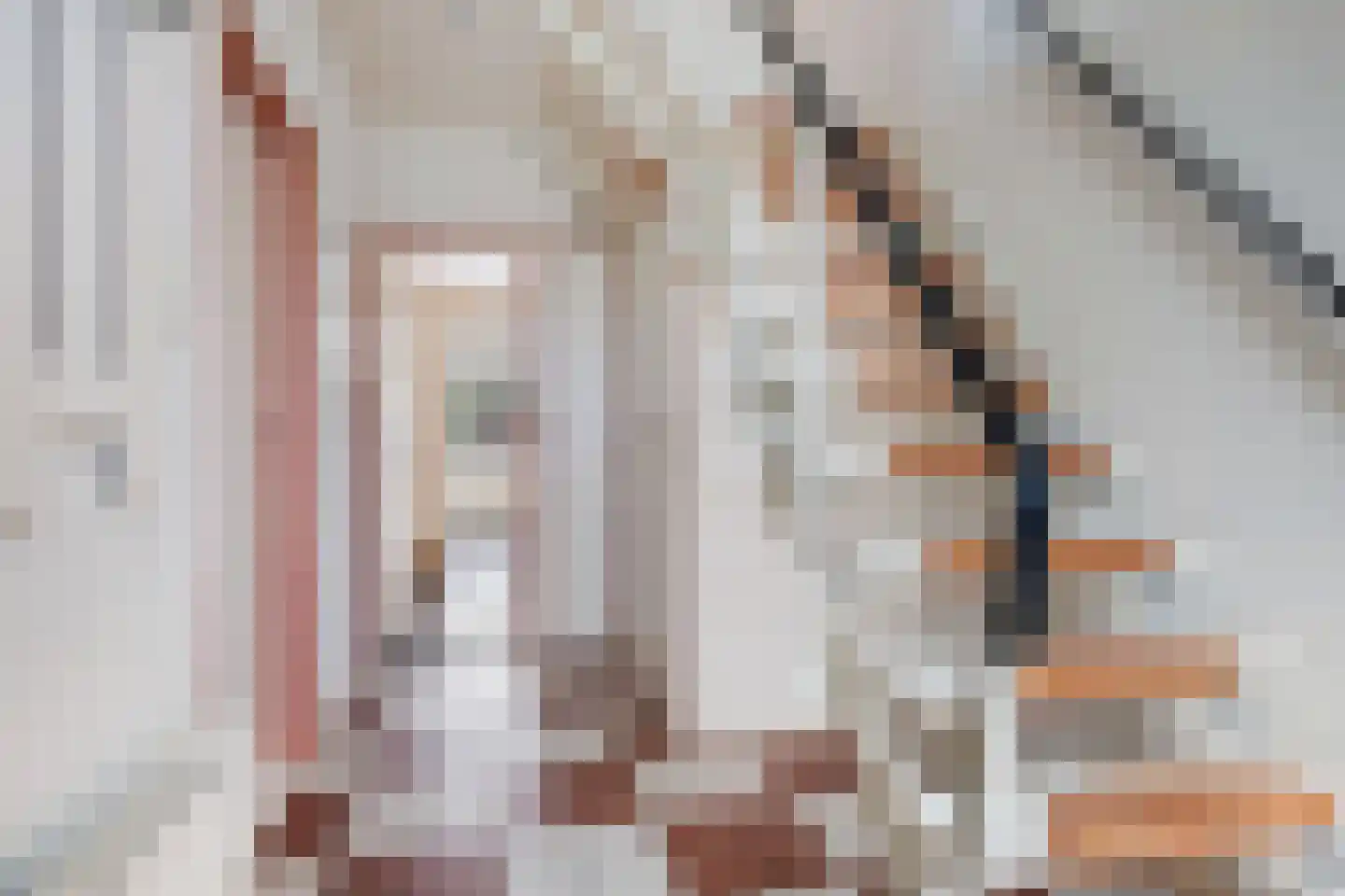 van Heemskerkstraat 57 Borne thumbnail 7