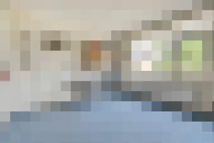 van Heemskerkstraat 61 Borne thumbnail 24