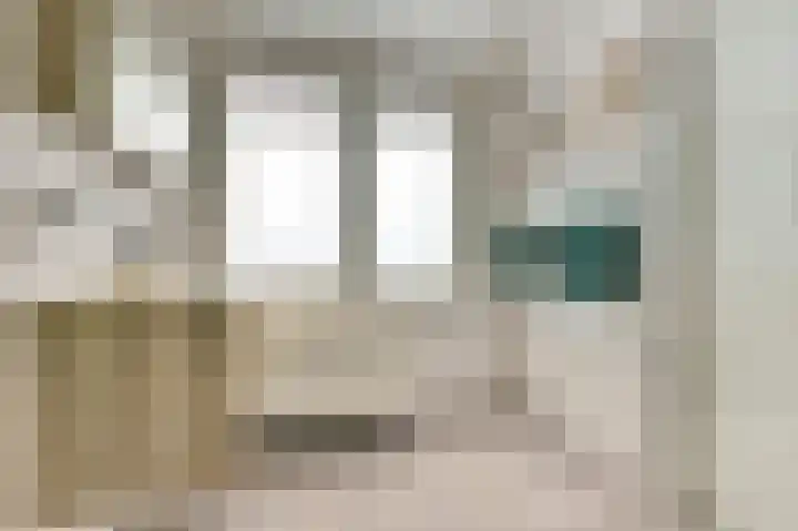 van Heemskerkstraat 61 Borne thumbnail 25