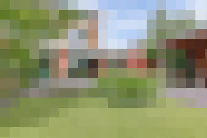 van Heemskerkstraat 61 Borne thumbnail 36