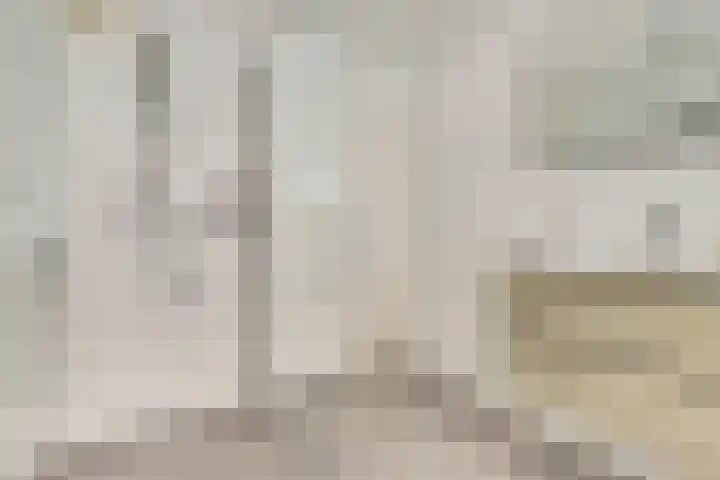 van Heemskerkstraat 61 Borne thumbnail 4