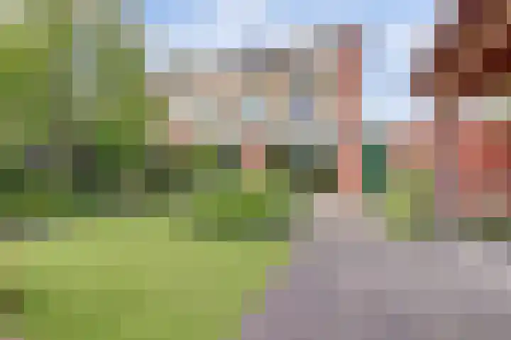 van Heemskerkstraat 61 Borne thumbnail 5