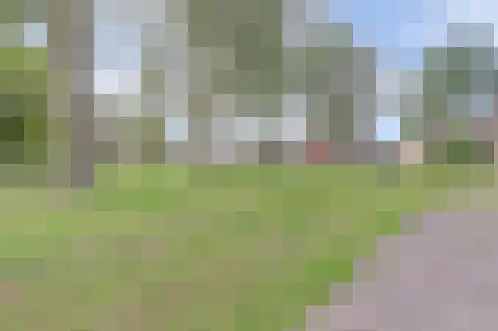 van Heemskerkstraat 61 Borne thumbnail 6