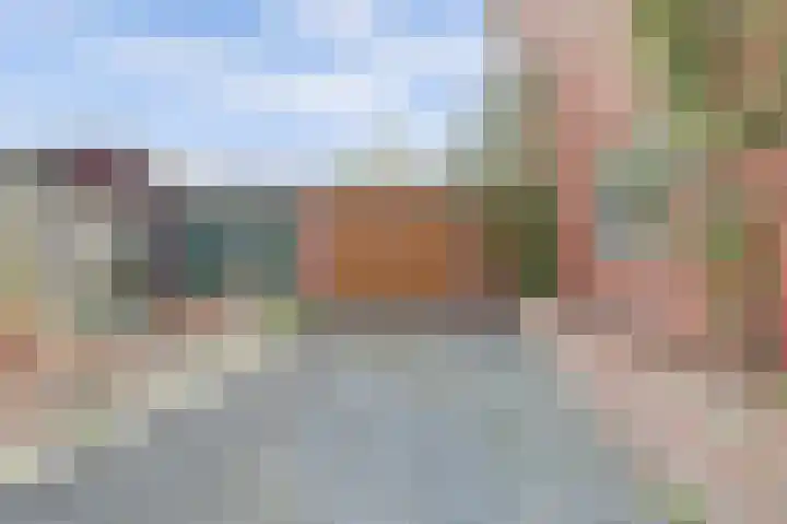 van Heemskerkstraat 61 Borne thumbnail 8