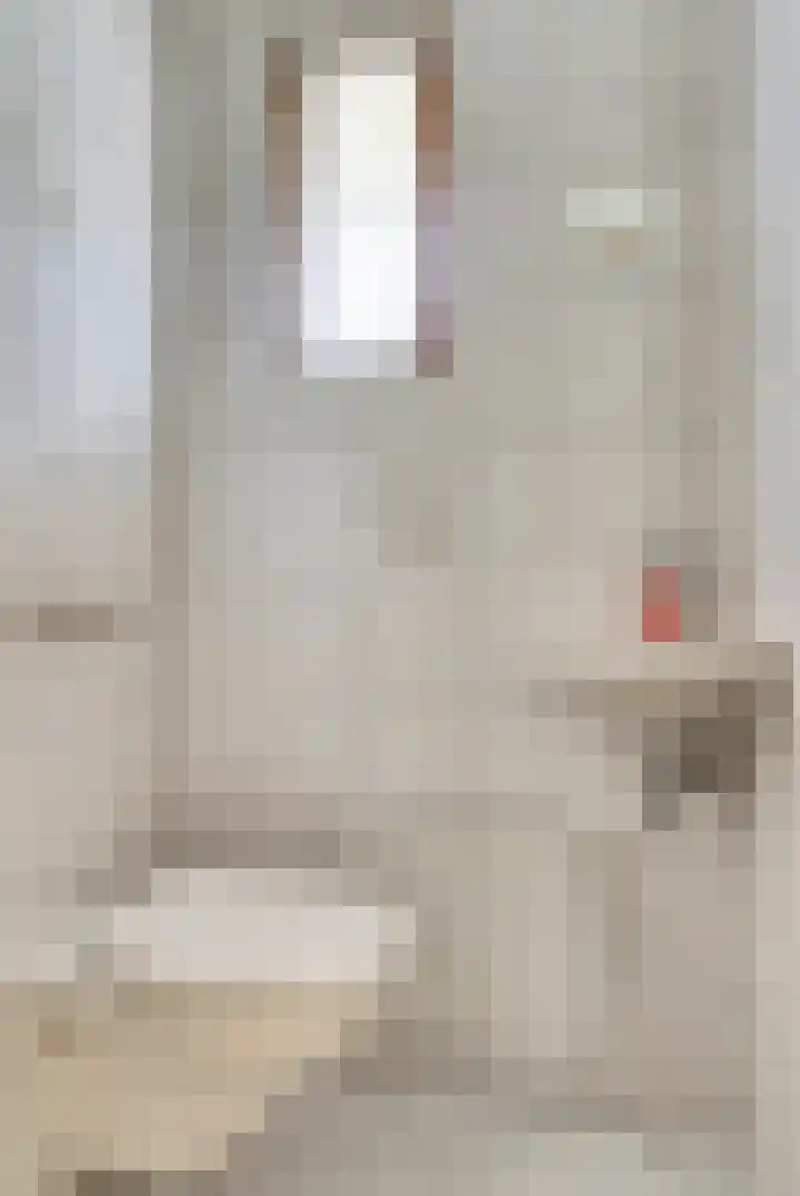 Van Heemskerkstraat 7 Elst thumbnail 10