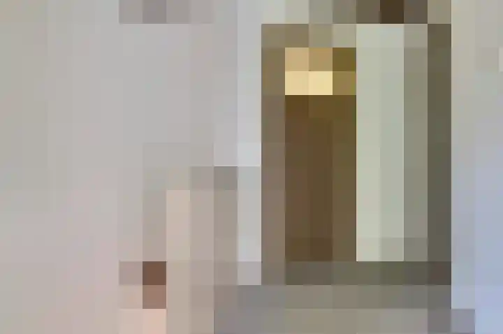 Van Heemskerkstraat 7 Elst thumbnail 11