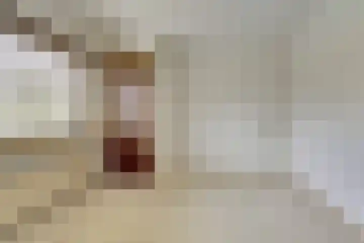 Van Heemskerkstraat 7 Elst thumbnail 12