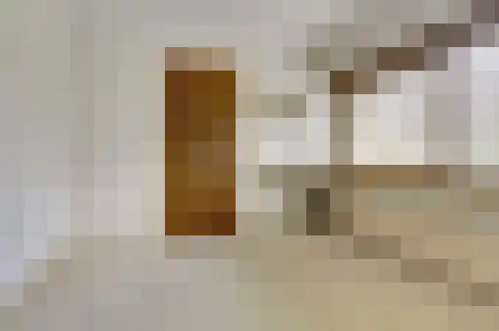Van Heemskerkstraat 7 Elst thumbnail 13