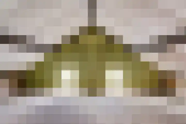Van Heemskerkstraat 7 Elst thumbnail 23