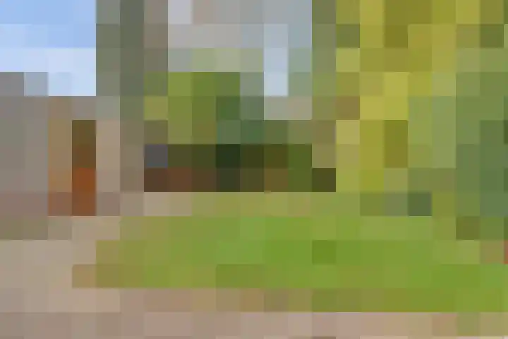 Van Heemskerkstraat 7 Elst thumbnail 26