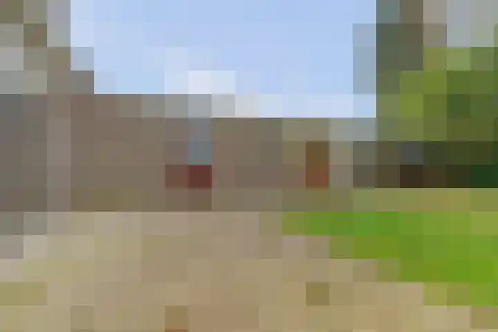 Van Heemskerkstraat 7 Elst thumbnail 27