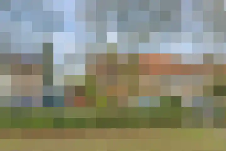 Van Heemskerkstraat 7 Elst thumbnail 33
