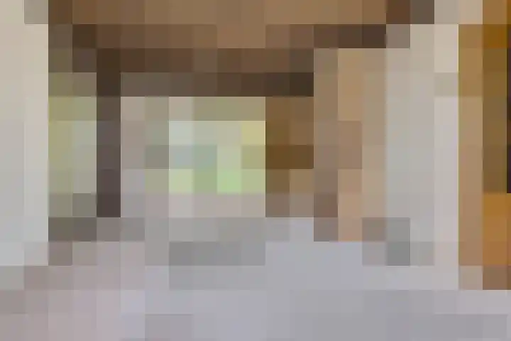 Van Heemskerkstraat 7 Elst thumbnail 4