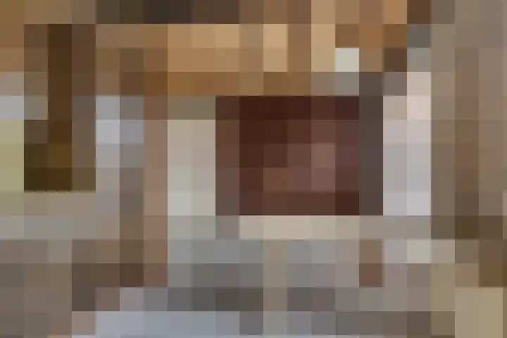 Van Heemskerkstraat 7 Elst thumbnail 7