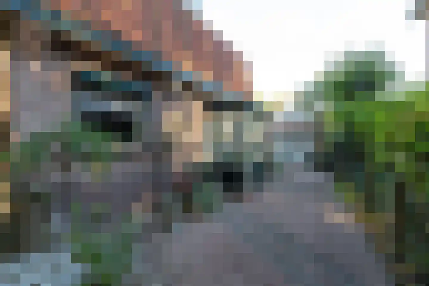 van Heemstralaan 10 Baarn thumbnail 27