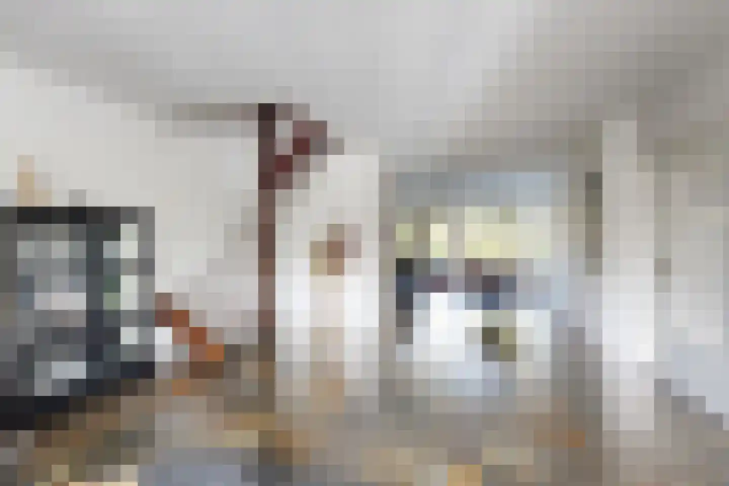 van Heemstralaan 13 Fijnaart thumbnail 15