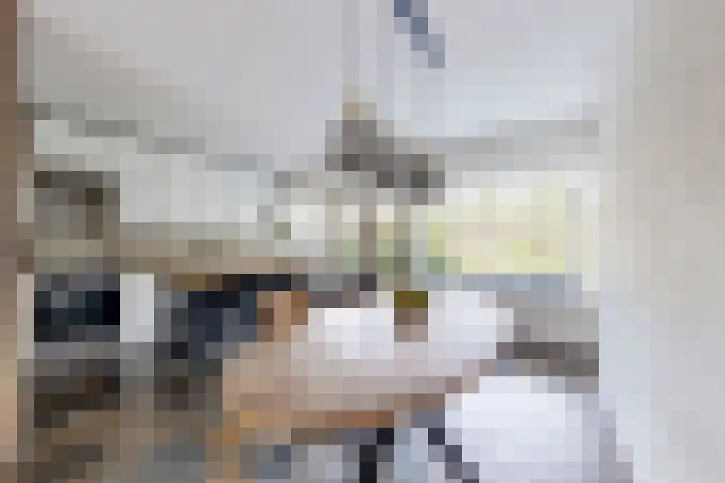 van Heemstralaan 13 Fijnaart thumbnail 18