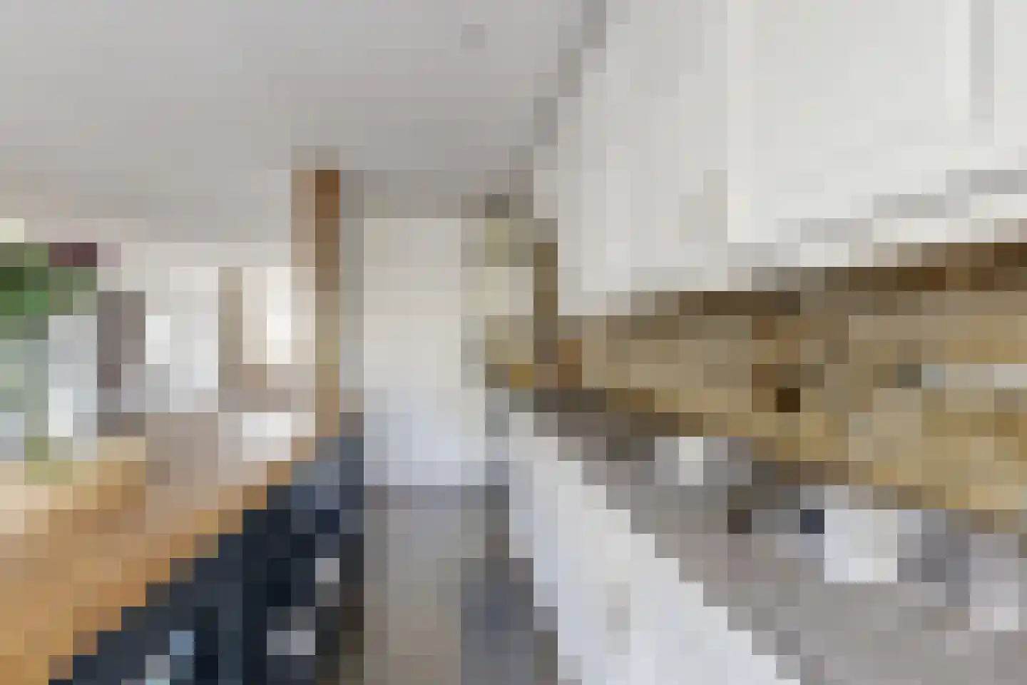 van Heemstralaan 13 Fijnaart thumbnail 24
