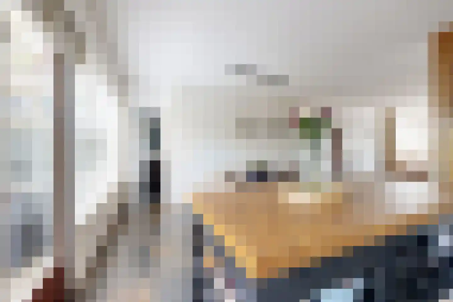 van Heemstralaan 13 Fijnaart thumbnail 25
