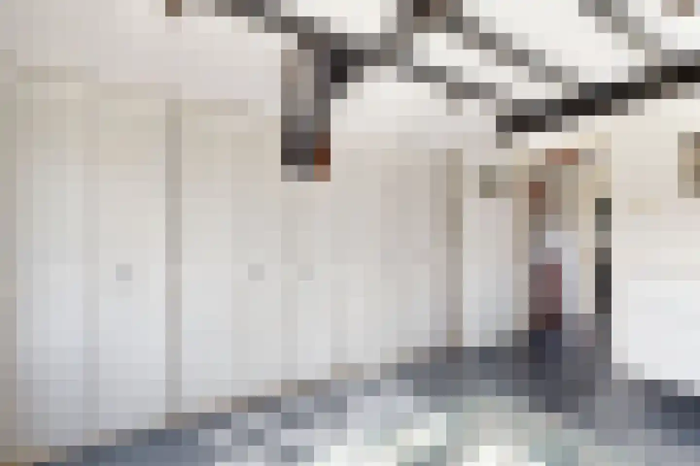 van Heemstralaan 13 Fijnaart thumbnail 37