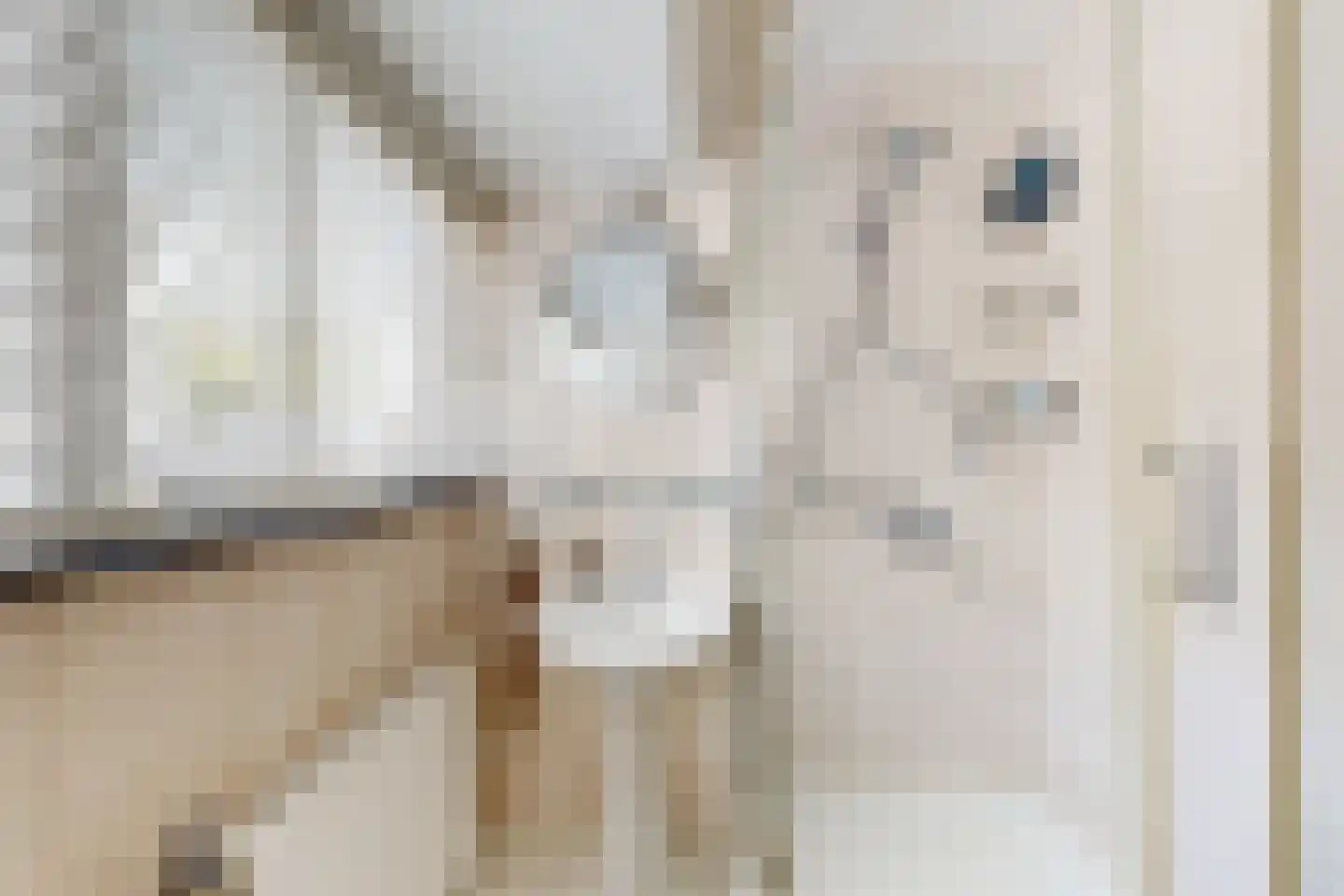 van Heemstralaan 13 Fijnaart thumbnail 38