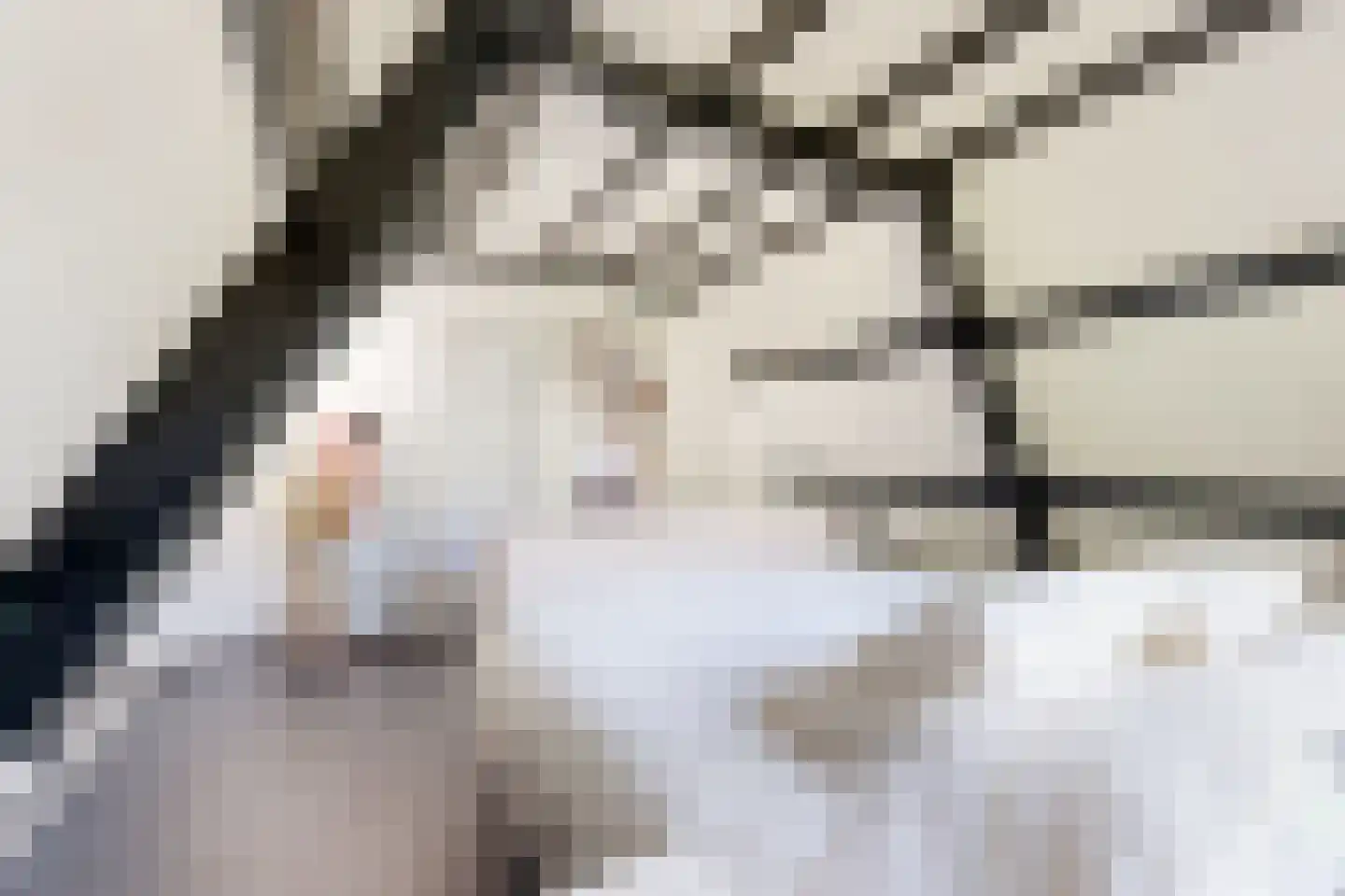 van Heemstralaan 13 Fijnaart thumbnail 4