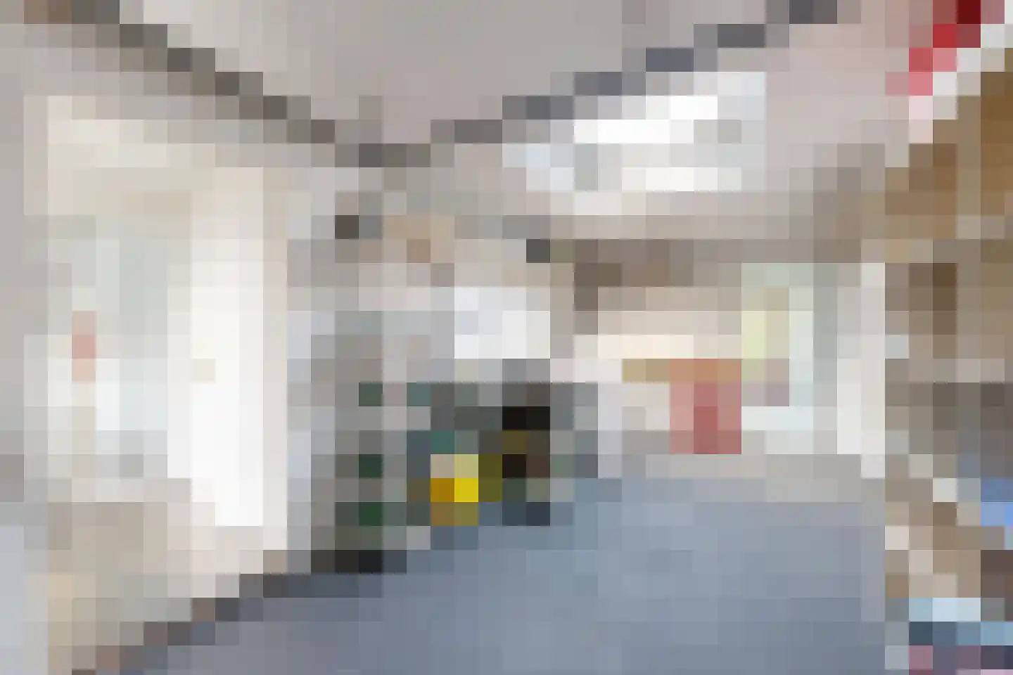 van Heemstralaan 13 Fijnaart thumbnail 44