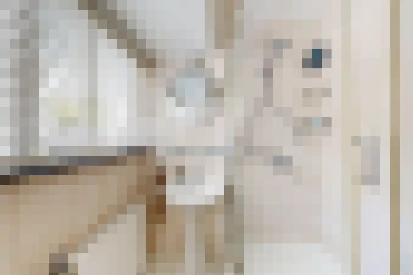 van Heemstralaan 13 Fijnaart thumbnail 5