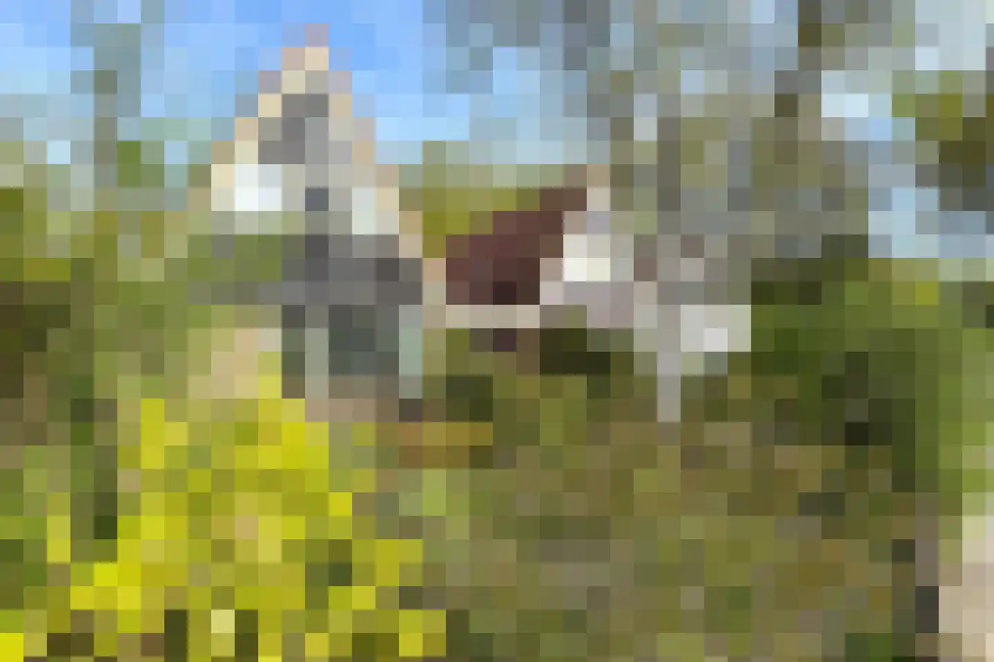 van Heemstralaan 13 Fijnaart thumbnail 50
