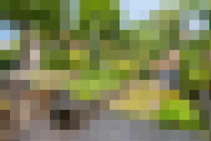 Van Heemstralaan 20 Arnhem thumbnail 21