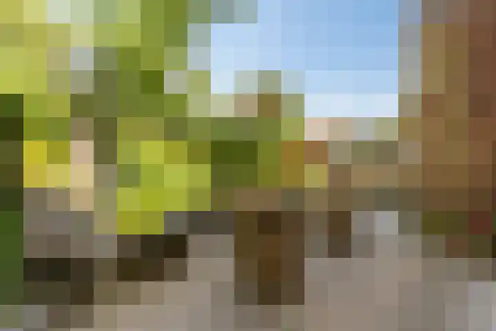 Van Heemstralaan 20 Arnhem thumbnail 22